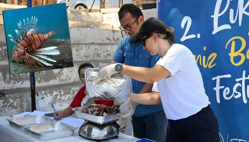 Antalya'da İstilacı Aslan Balığı Avlama Yarışması: Denizlerin Korunması İçin Özel Etkinlik