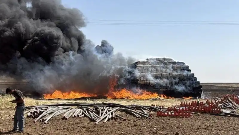 Mardin'de Anız Yangını: Tarım Alanları Tehdit Altında