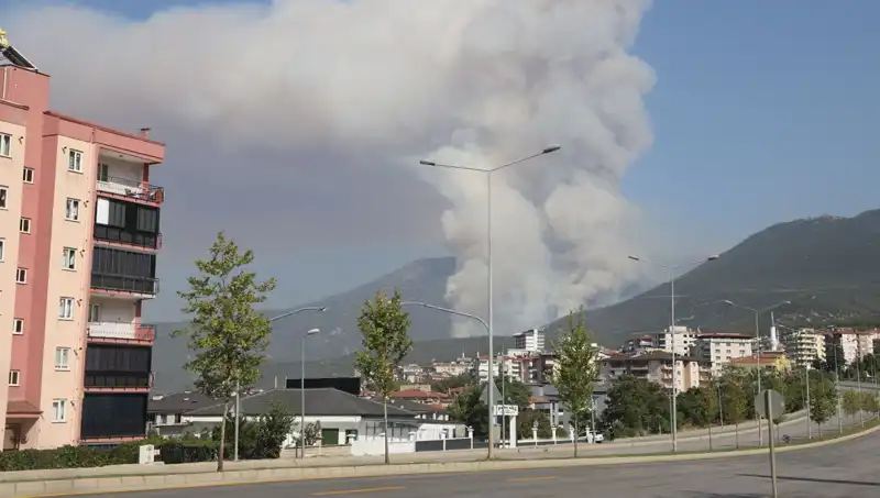 Denizli'de Orman Yangını: Bir Şüpheli Gözaltında, Olayın Ardındaki Gerçekler