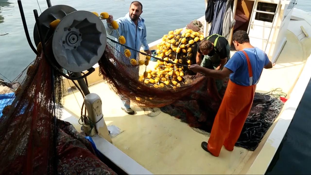 Balıkçılıkta Yeni Dönem: "Planlı Üretim" Uygulamaları Başlıyor