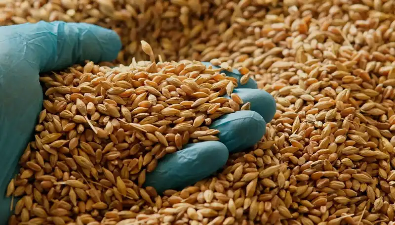 Kalp Hastalığı Riskini Azaltmak İçin Doğru Beslenme Yöntemleri