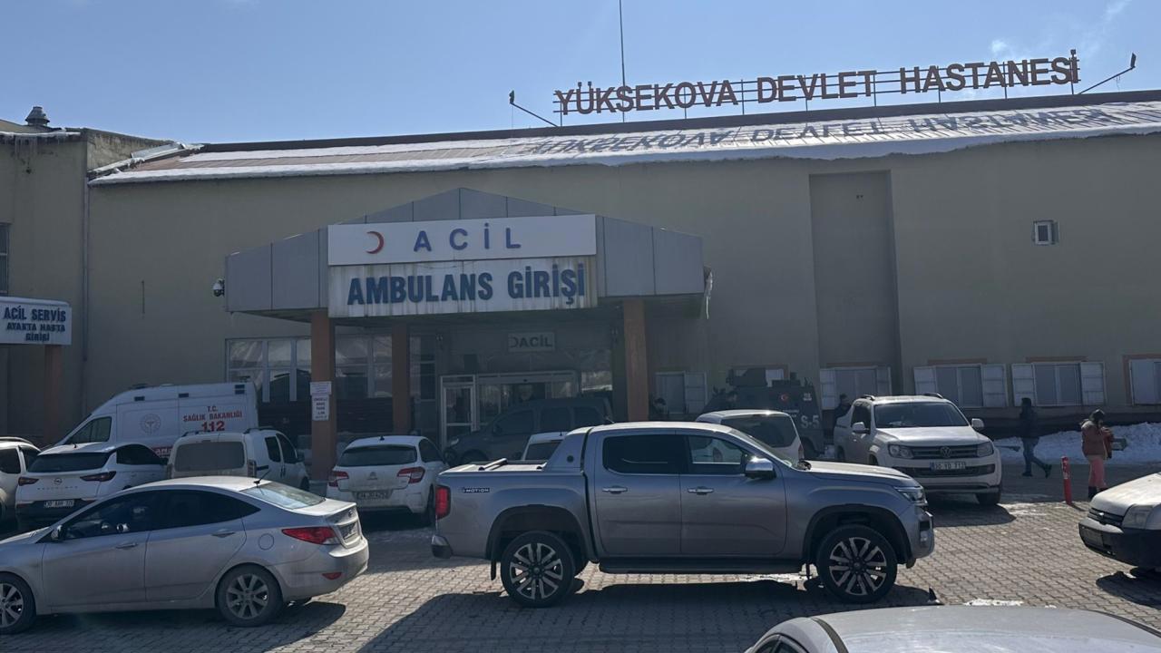 Hakkari'de köpek saldırısında hayatını kaybeden çocuk acı bir olay