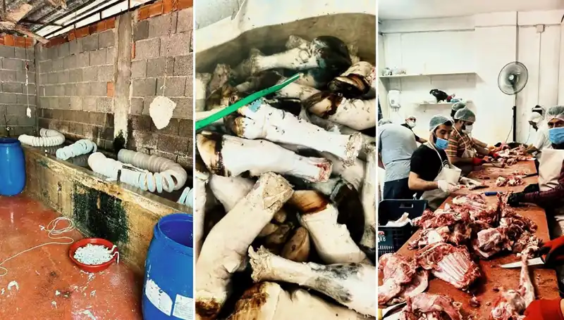 Adana'da Skandal: Yüzlerce Kilo Paça İmha Edildi