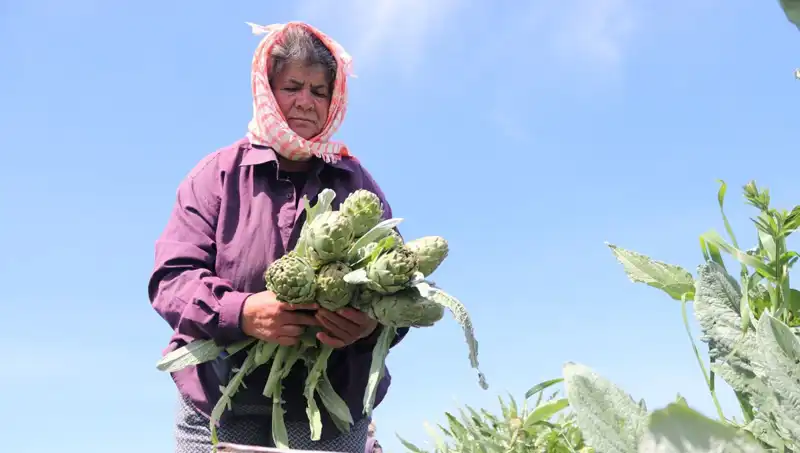 Tarım Ürünlerinin Son Fiyatları: 50 TL'lik Sebzelerin Hikayesi