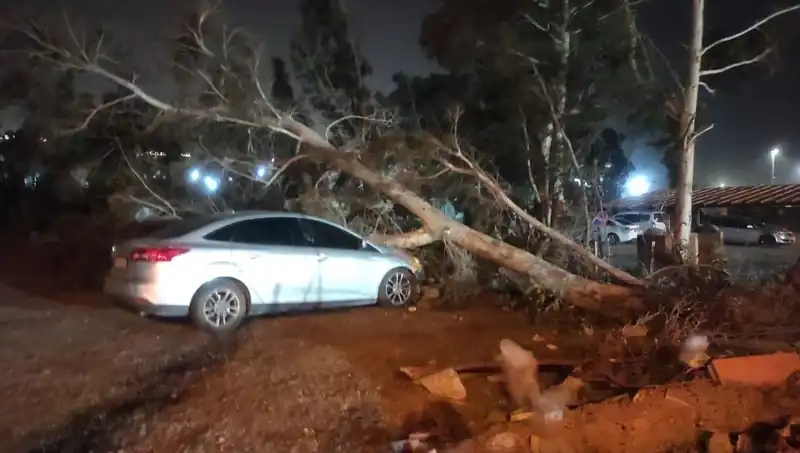 Hatay'da Şiddetli Fırtına: Tekneler Alabora Olurken Ağaçlar Devrildi!