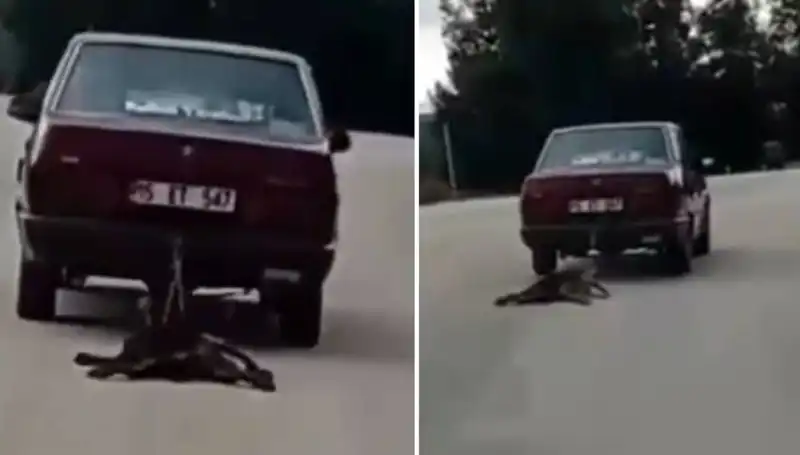 Otomobilin Arkasına Bağlanan Köpeğin Dramı: Sürüklendiği Anlar Kameralara Yansıdı