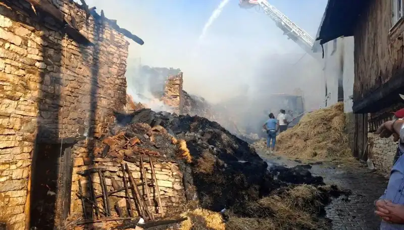 Köyde Korkunç Yangın: 4 Ev Kül Oldu, Gözyaşları Sel Oldu