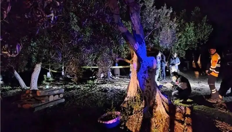 Çiftlikteki Baltalı Vahşet: Sır Perdesi Aralanıyor, Bir Kişi Tutuklandı