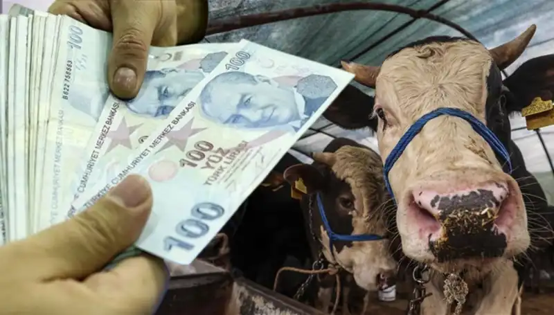 Kurban Bayramı Öncesinde Emekli ve Memur Maaşları Ne Zaman Yatacak?